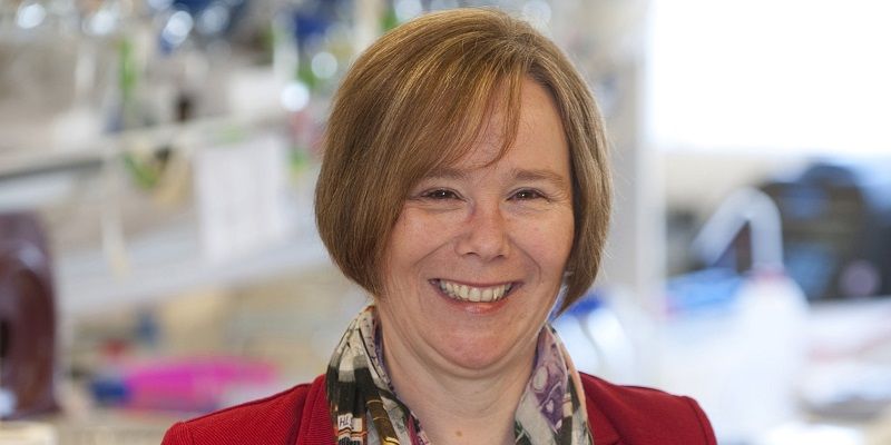 A head and shoulders portrait of Professor Sheena Radford smiling in a laboratory setting. 