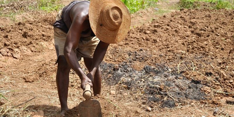 A farmer in Africa - bent double - digs into dry-looking looking soil. He is wearing a hat to protect himself from the overhead sun.
