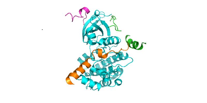 The image shows a graphical representation of the structure of the Aurora-A protein