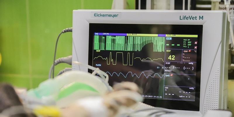 The images shows a monitoring device use to analyse a patient's breathing. You cannot see a patient.