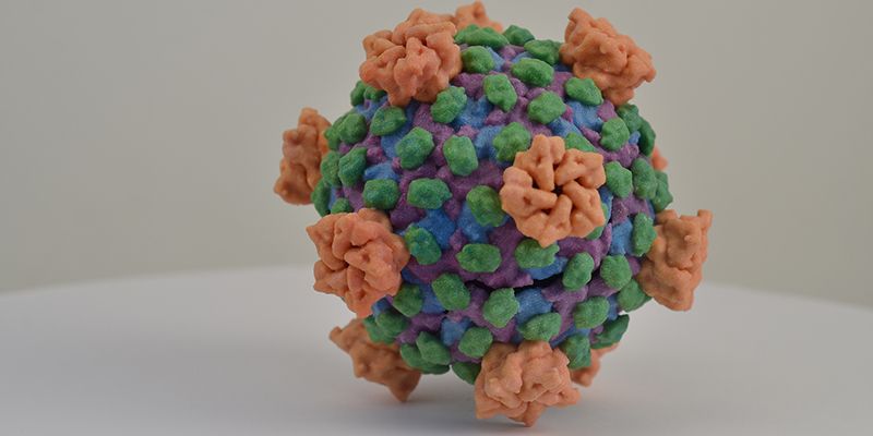 Reovirus