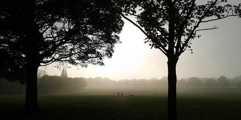 Misty morning at Roundhay Park, Leeds