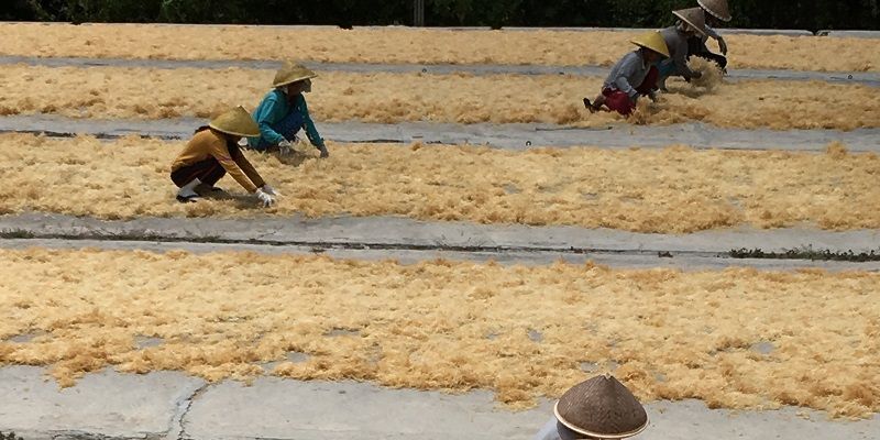 Seaweed Drying, Sumba Island