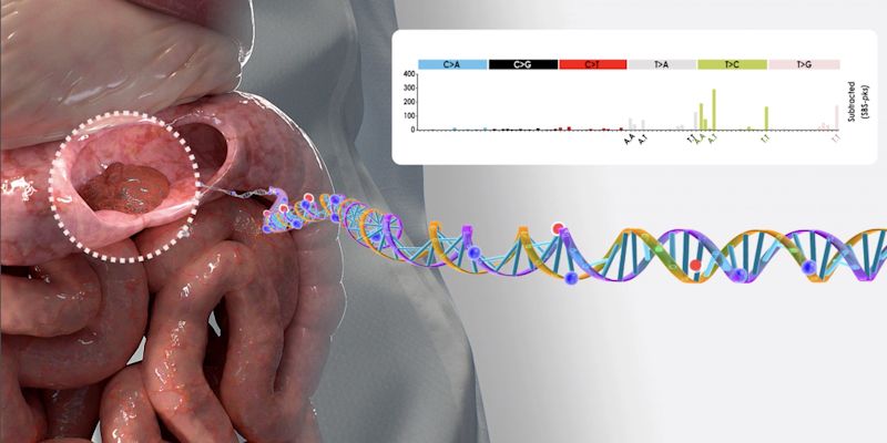 Illustration of mutation identification in colorectal tumor, showing a cartoon of the bowel