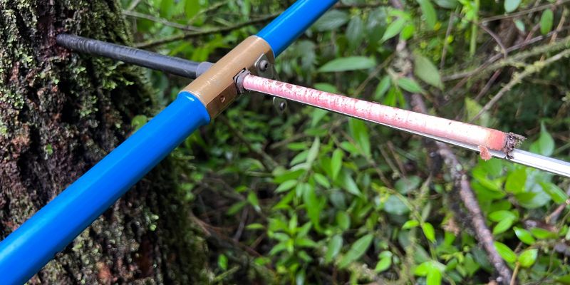 a tree ring sample being extracted from a tree using a drill-like instrument