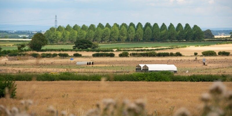 The University of Leeds farm with crop fields and a farm shed and trees in the background.