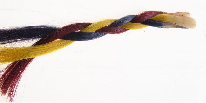 Locks of hair dyed using blackcurrant skin extract