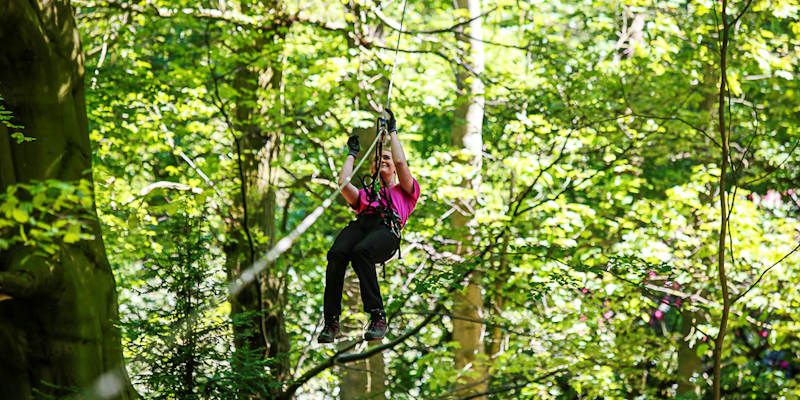 The Go Ape high ropes experience at Temple Newsham park in Leeds