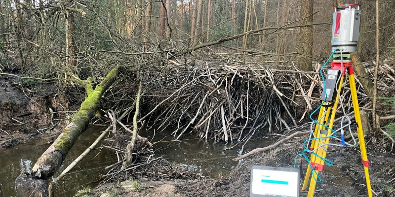 The main beaver dam in Cropton Forest