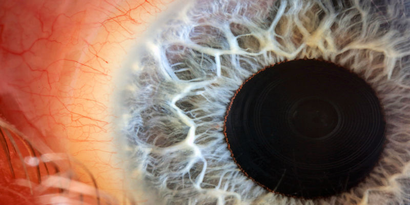 Close up image of a blue eye