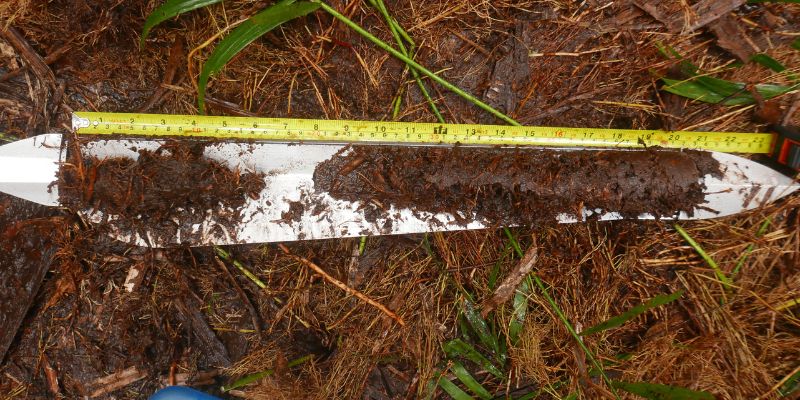 A trowel lying on some peatland in the Congo next to a tape measure which shows that the depth reached is 23 inches.