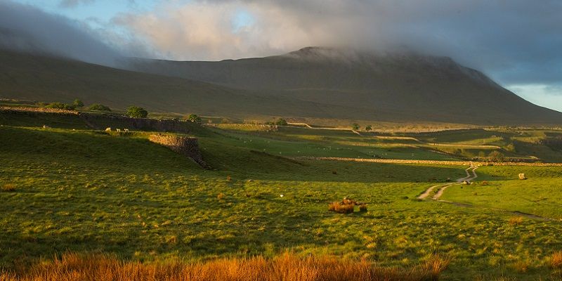 The mountain Ingleborough on a sunny day with blue sky. The peak is shrouded in low cloud and there is moorland in the foreground