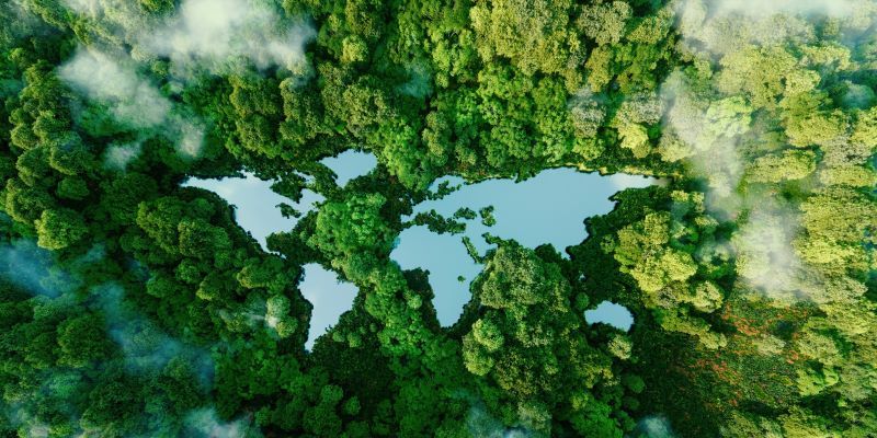 A graphic image of a map of the world created in an aerial view of a jungle.