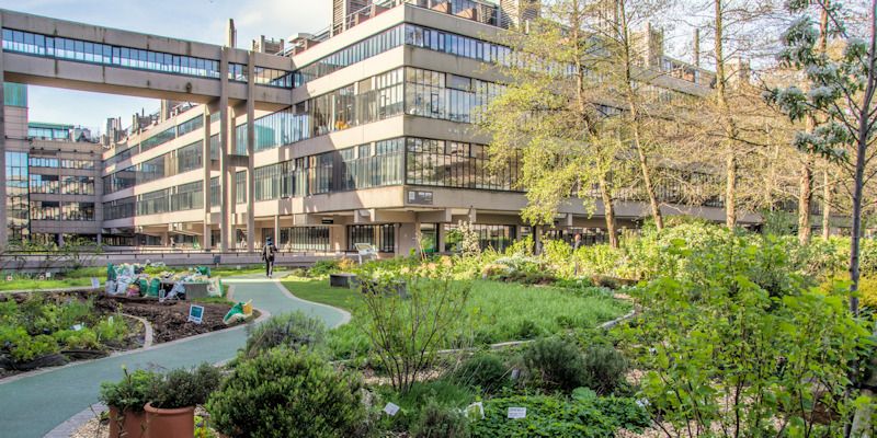 Sustainable garden at the University of Leeds in the sunshine