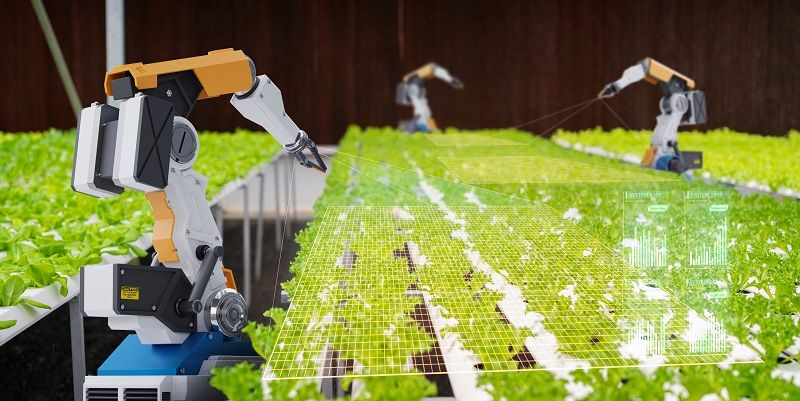 robot arms maintaining protective netting over green leafy vegetables in an agricultural nursery