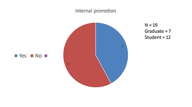 A pie chart called "Internal promotion" showing the results of a questionaire with 19 undergraduates (7 graduates and 12 students). 8 answered "yes" and 11 answered "no".