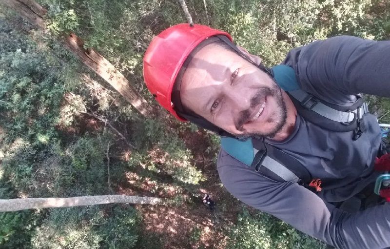 A selfie taken by a tree climber as they scale a tree to take measurements and tissue samples from a tree.