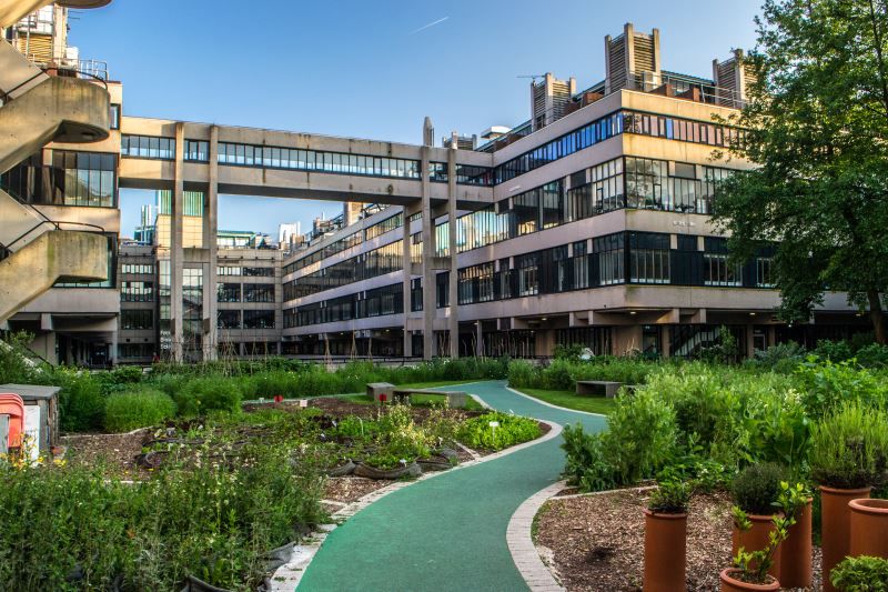 University of Leeds sustainable garden on campus.