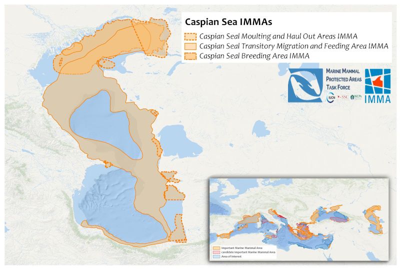 Caspian Sea IMMA Maps