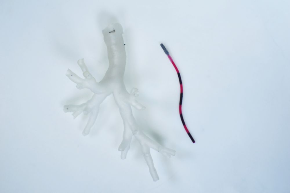 a magnetic tentacle robot lies next to a phantom bronchiole
