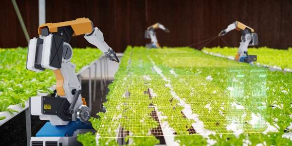 robot arms autonomously maintaining protective netting in agricultural nursery