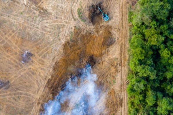 Aerial view of deforestation in the Amazon rainforest. 50% of the image shows bare land and burning logs, 50% is full forest.