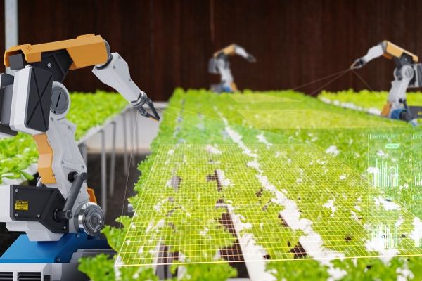 robot arms autonomously maintaining protective netting in agricultural nursery