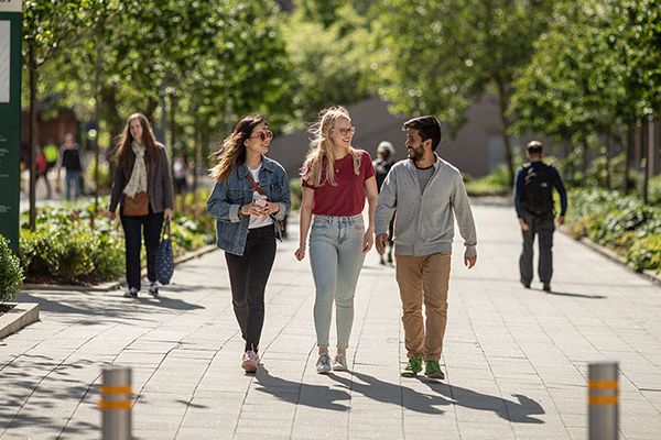 Three students exploring the University of Leeds campus on a sunny day — the view shows lines of trees thick with green leaves.