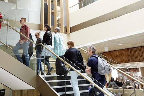 Several people climbing some stairs on a campus tour led by a student guide.