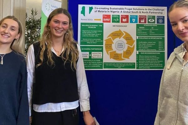 Three University of Leeds students standing in front of a chart that looks at solutions to the challenges of malaria in Nigeria
