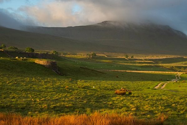 The mountain Ingleborough on a sunny day with blue sky. The peak is shrouded in low cloud and there is moorland in the foreground