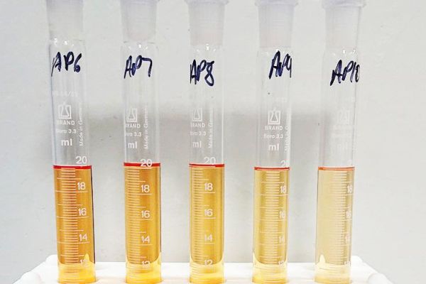 A row of test tubes with orange fluid on them