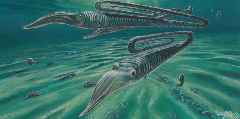 Painted reconstruction of typical Cretaceous marine environment in Antarctica, including the paperclip-shaped ‘heteromorph’ ammonite Diplomoceras.