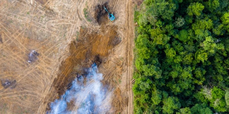 Aerial view of a patch of cleared rainforest is cultivated by a digger, with smoke from a fire rising into the sky