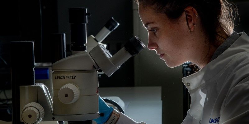 University of Leeds PhD researcher Amy Turner uses a microscope in a lab