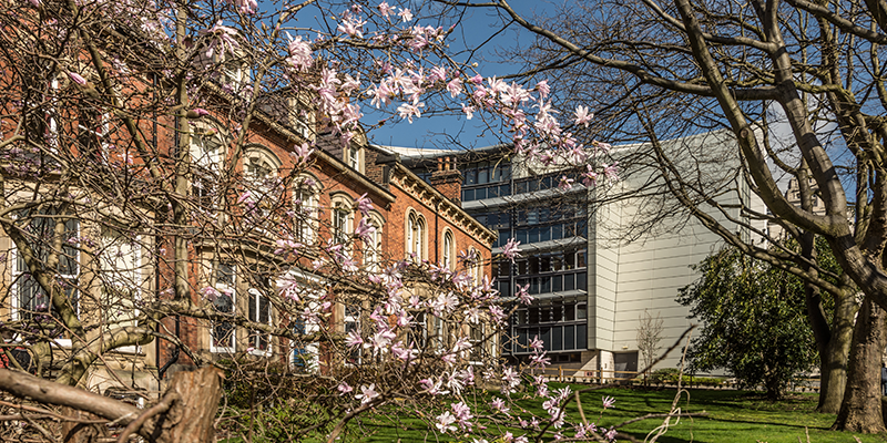 University of Leeds' Ziff Building with blossom