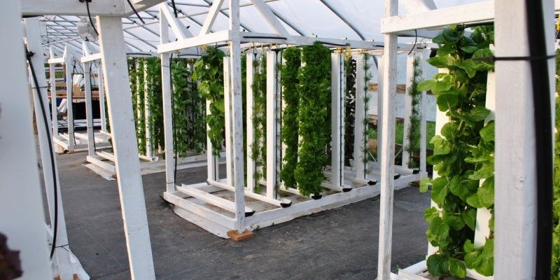 A hydroponic (aquaponic) vertical farm