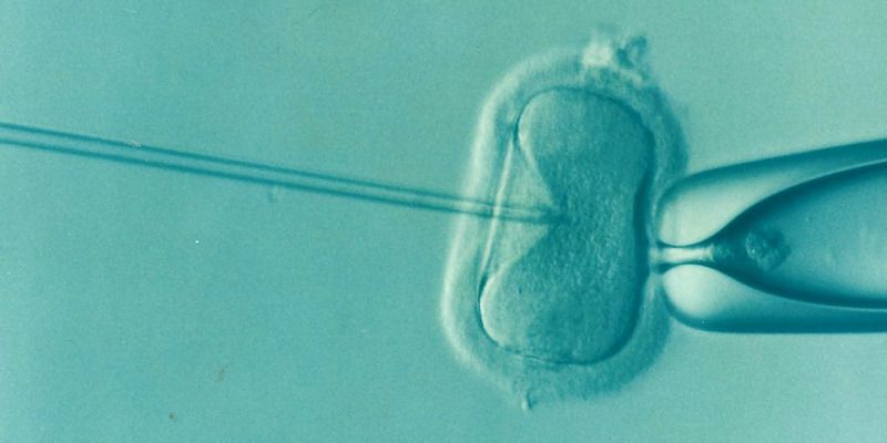A needle injecting sperm into an egg in IVF process
