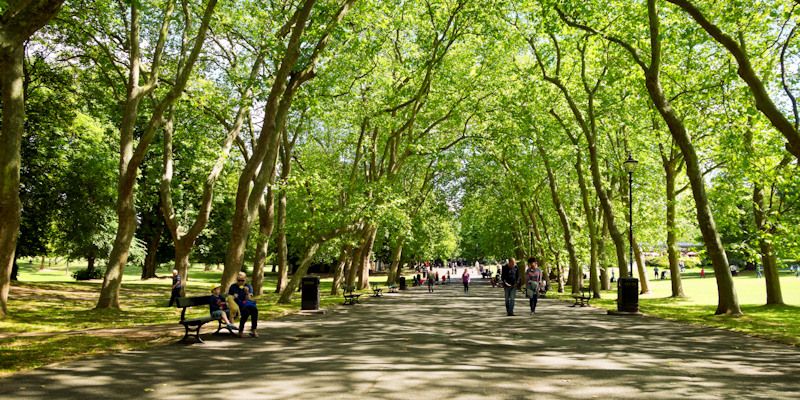 People walking through a park in summer with a green canopy of trees overhead.