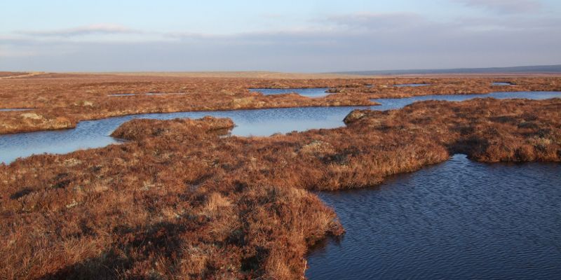 A new Government-backed code, which could slash UK carbon dioxide emissions by 220 million tonnes and protect rare wildlife by restoring moors, bogs and mires has been launched.