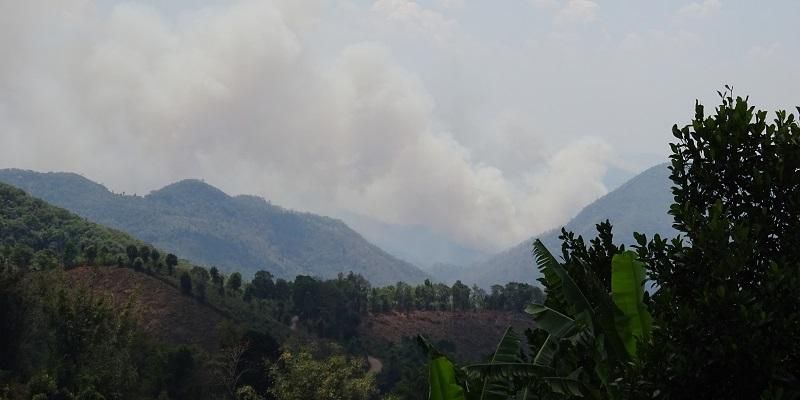 Smoke billowing from forest and agricultural land fires
