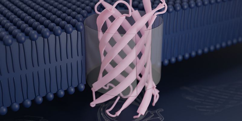 Computer generated image of a transmembrane protein