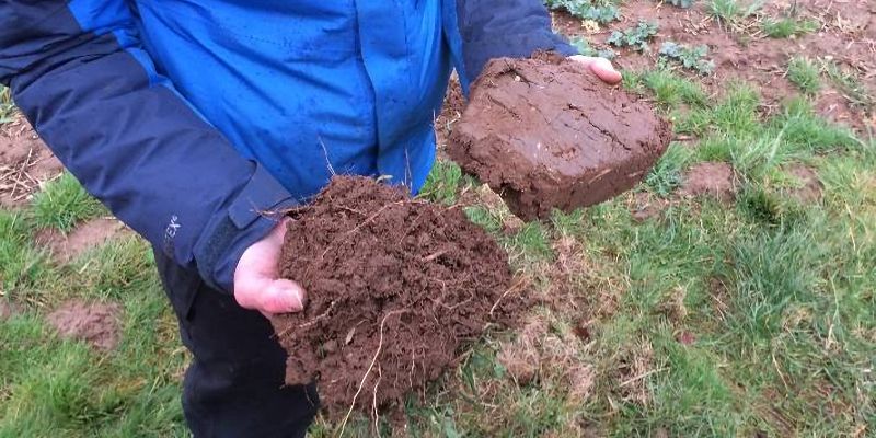Person holding two soil samples. On the left the soil is full of roots and has an open structure. On the right, the soil has few roots and is more compacted.
