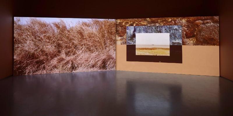 An art installation featuring a projection of landscapes.