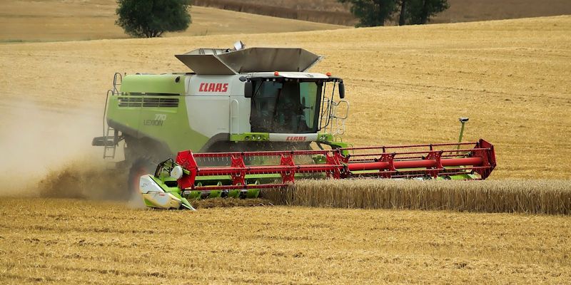 A combine harvester gathers wheat in a field.