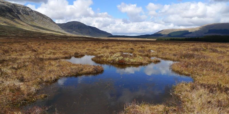 A peatland in good condition in Dumfries and Galloway