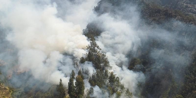 Forest fire in Indonesia