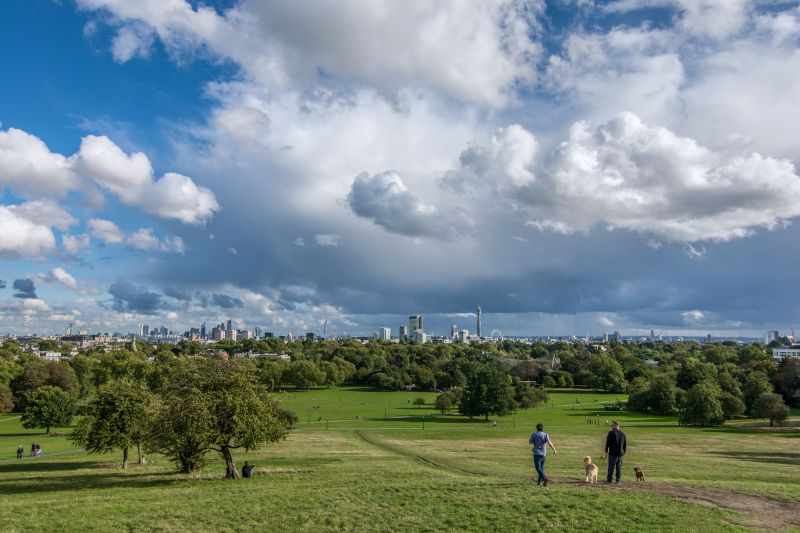 Wide angle image of two people walking in a wood-lined park, with a city landscape in the distance, and a blue sky and clouds above.