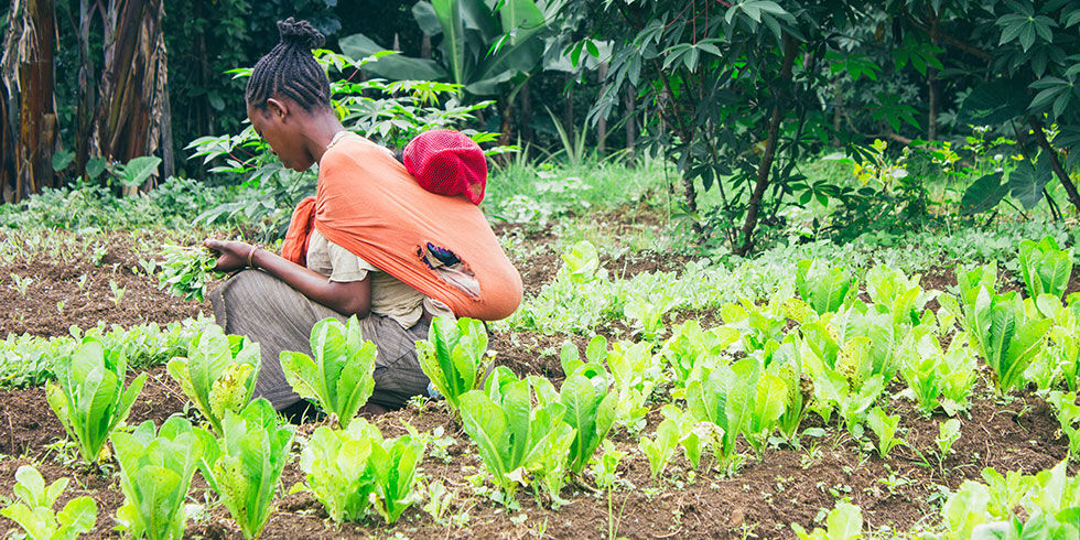 A person kneeling down tending to crops in a field, while carrying a baby on their back.